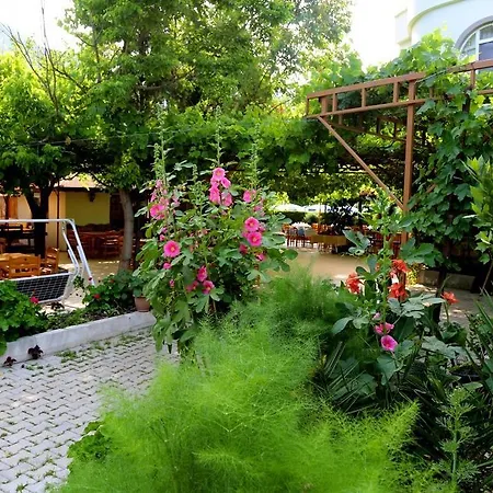 Arkadas Oda ve Kahvaltı 3*