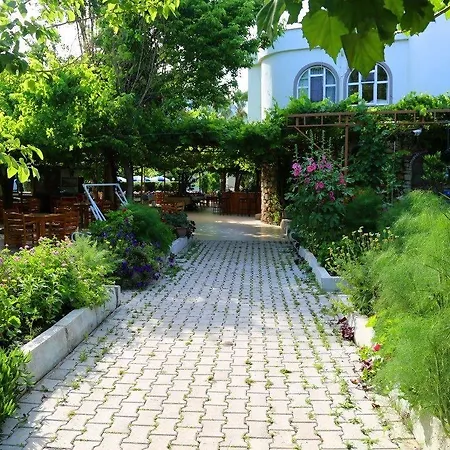 Oda ve Kahvaltı Arkadas Adrasan